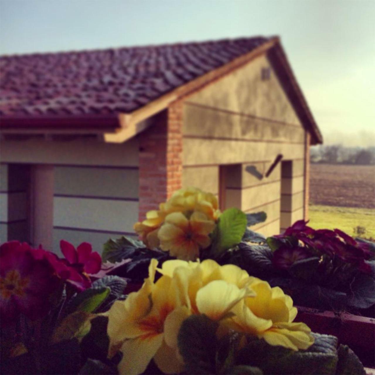 Agriturismo Bassanine Monticelli dʼOngina Buitenkant foto