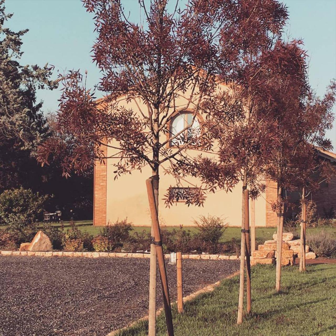 Agriturismo Bassanine Monticelli dʼOngina Buitenkant foto